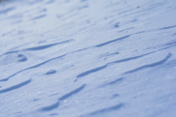 Blue snow blanket in the evening light by Codrina Miculit